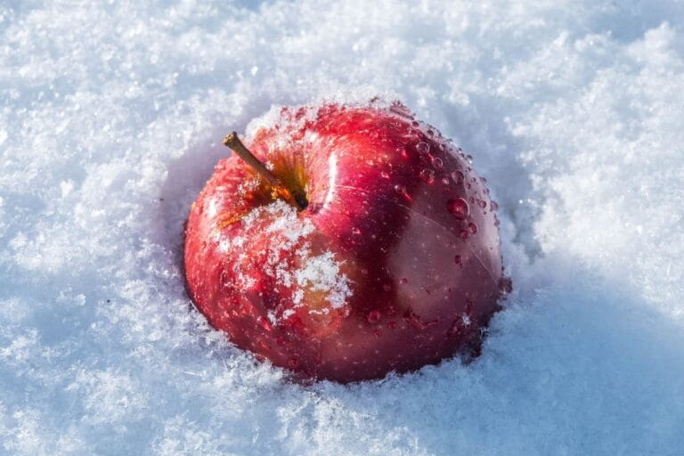 Pode congelar maçã? O que acontece com a fruta e como fazer do jeito certo 4 Pode congelar maçã.