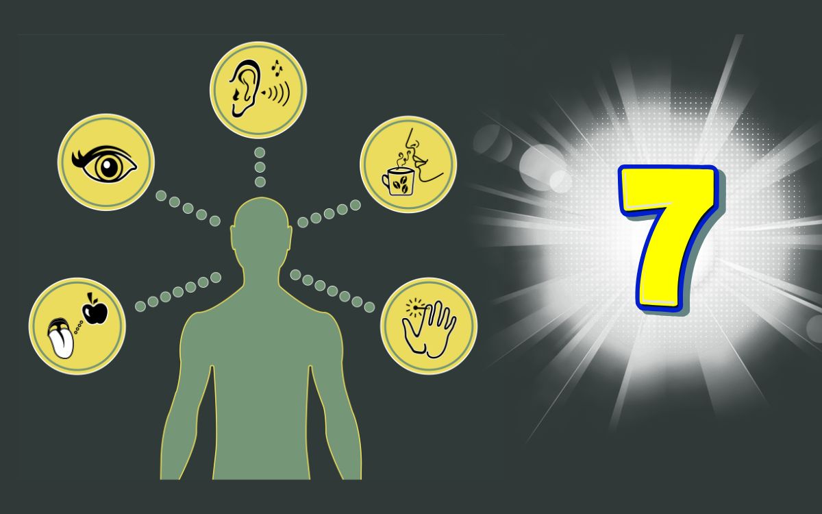 Você tem mesmo só cinco sentidos? A ciência agora fala em 7 sentidos humanos 1 7 sentidos humanos.