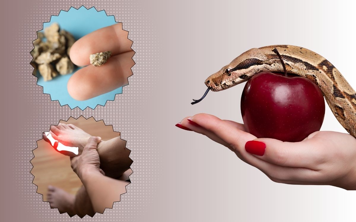 Ácido úrico e amônia.