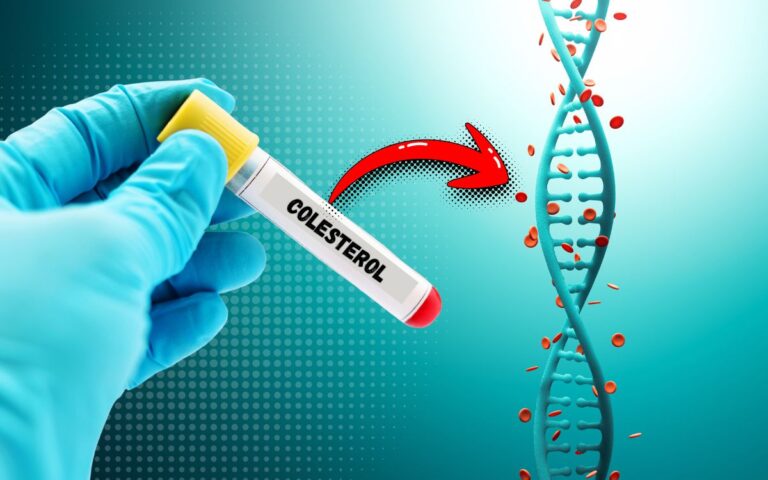 Uma única aplicação reduziu o colesterol alto em 47%; entenda a descoberta 3 colesterol alto.
