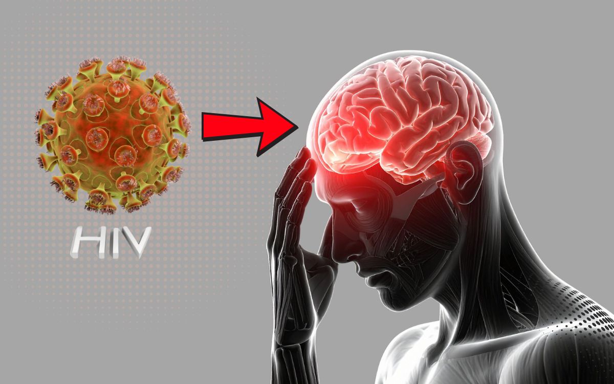 Por que o HIV no cérebro é tão difícil de eliminar? Estudo traz novas pistas 1 HIV no cérebro.