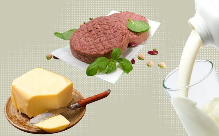 Ultraprocessados do bem? O que estudos mostram sobre carnes vegetais, leites e manteigas 2 carnes vegetais ultraprocessadas.