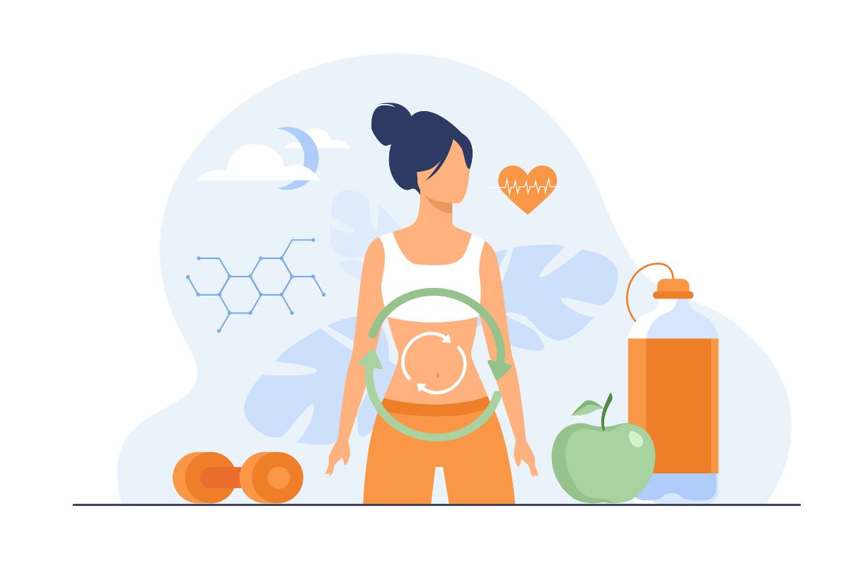 Estroboloma: o que é e qual sua importância para o equilíbrio hormonal 1 estroboloma,
