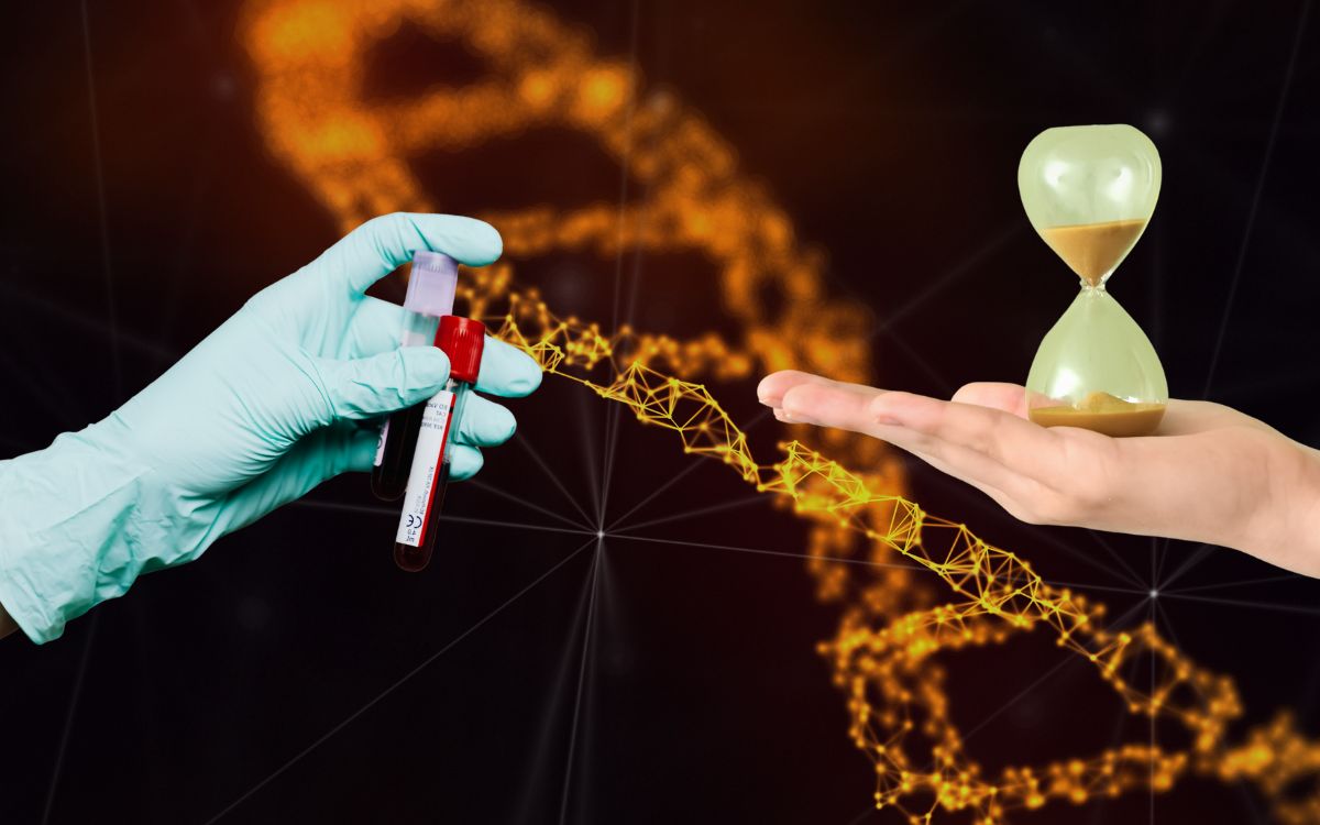 relógio biológico com IA.