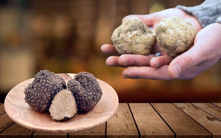 Trufas negras e brancas.