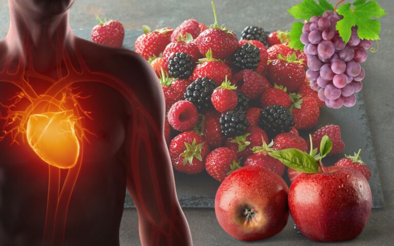 alimentos ricos em polifenóis.