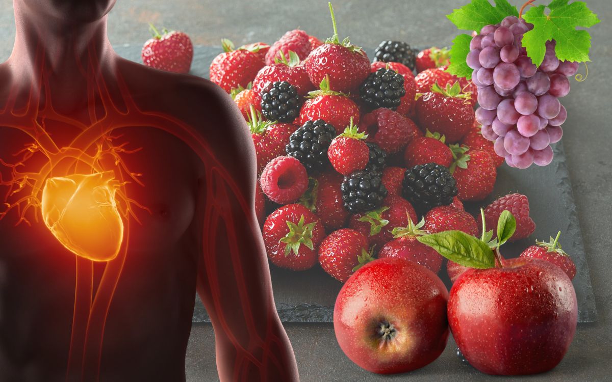 alimentos ricos em polifenóis.