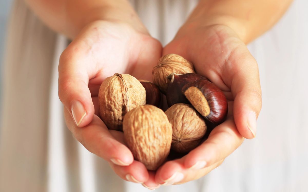 benefícios da noz.