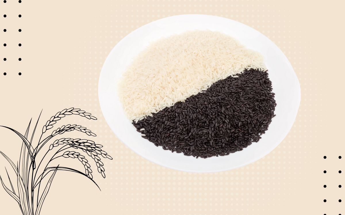 benefícios do arroz preto.