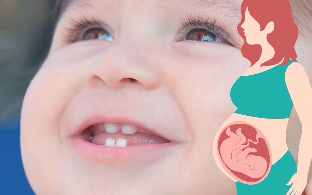 dentição do bebê.