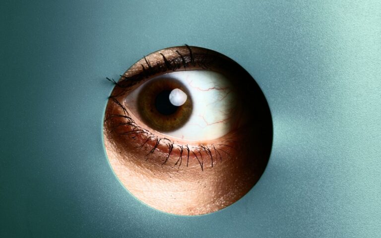 A idade do seu corpo pode não ser a da certidão (e seus olhos podem entregar) 2 retina e envelhecimento biológico.