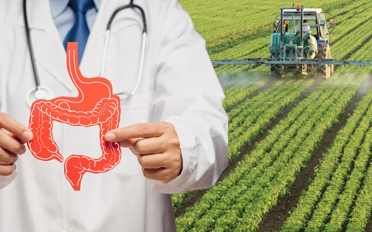 Agrotóxicos nos alimentos e seus efeitos.