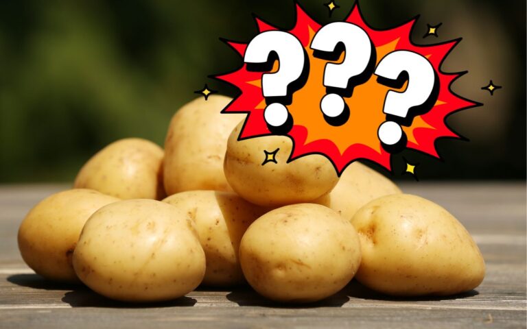 Batata é saudável? Entenda onde ela se destaca (e onde perde) 3 Batata é saudável.