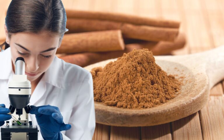 Por que a canela entrou no radar das pesquisas sobre câncer 2 canela e câncer.