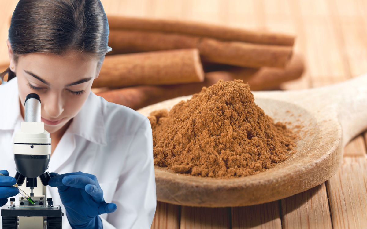 Por que a canela entrou no radar das pesquisas sobre câncer 1 canela e câncer.