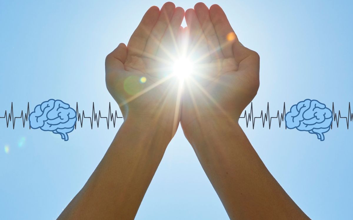 exposição à luz e função cognitiva.