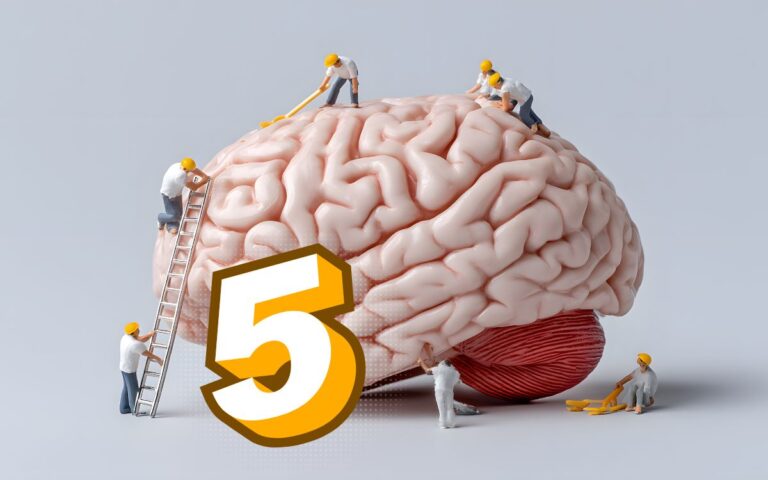 fases do desenvolvimento cerebral