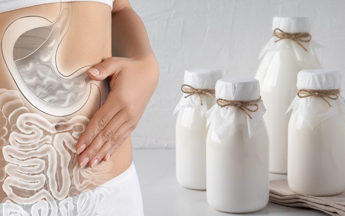 kefir e microbiota intestinal.