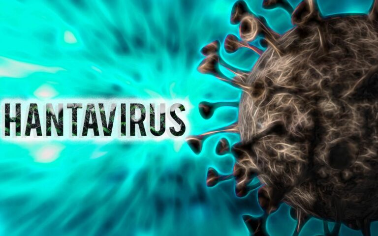 Quando parece dengue, mas não é: entenda o que é hantavirose e o teste rápido que pode ajudar 3 o que é hantavirose.