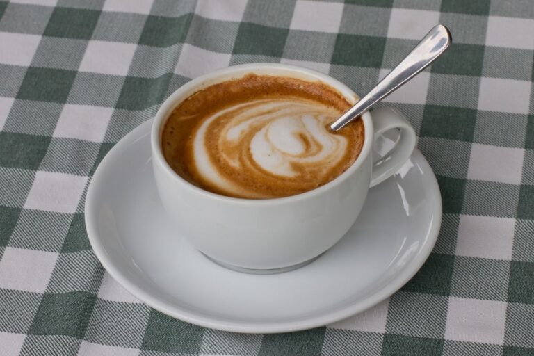 cappuccino sem lactose.