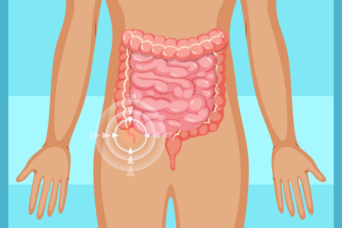 como é a dor de apendicite.