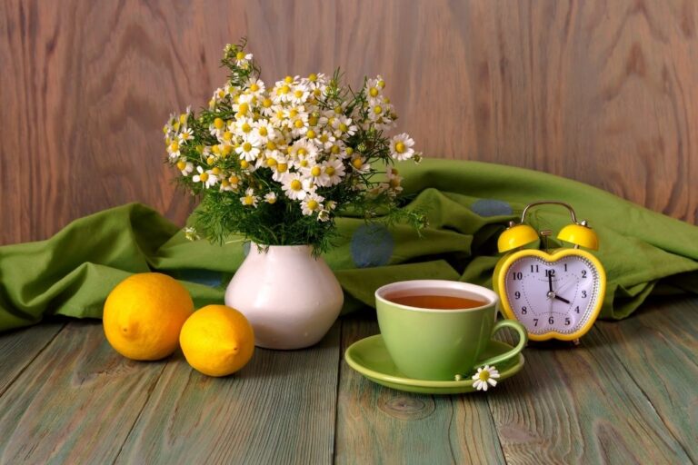 Pode tomar chá todos os dias.