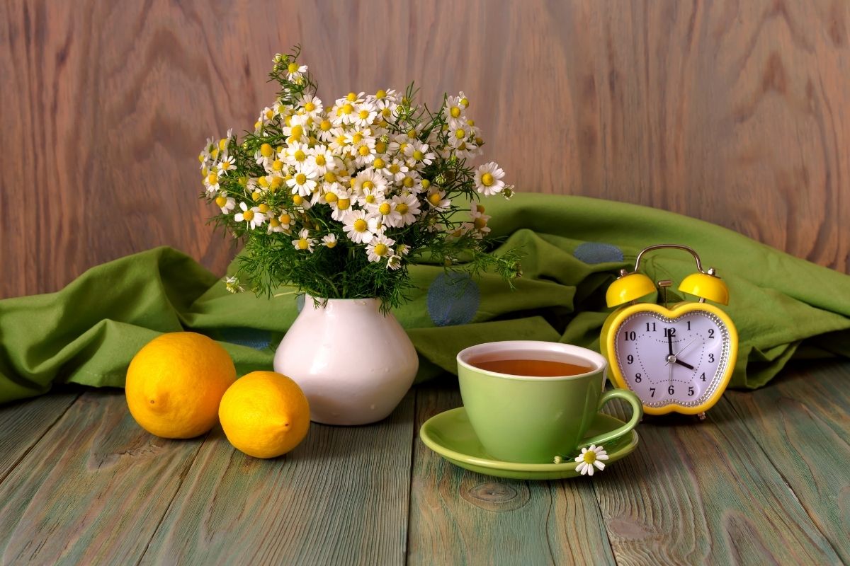 Pode tomar chá todos os dias.