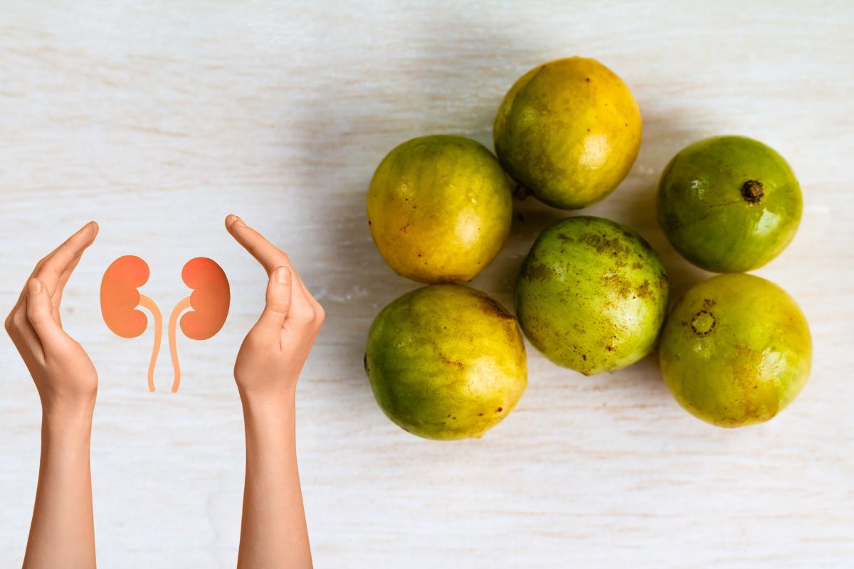 caja-manga faz mal para os rins.