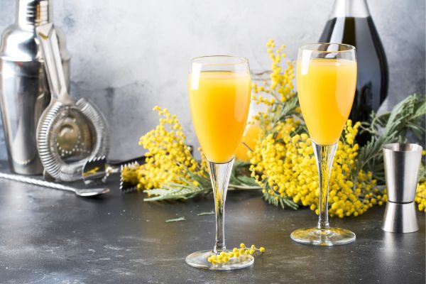 virgin mimosa.
