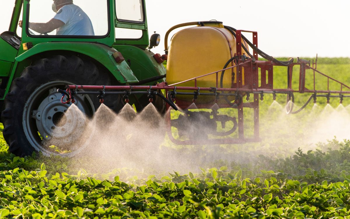 Entre o risco invisível dos agrotóxicos e a força de um escondidinho no prato 2 Agrotóxicos e saúde feminina