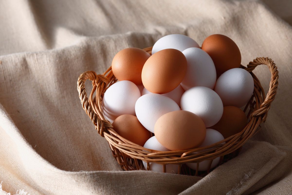 Como escolher ovos saudáveis: 6 dicas para acertar no mercado 1 como escolher ovos saudáveis.