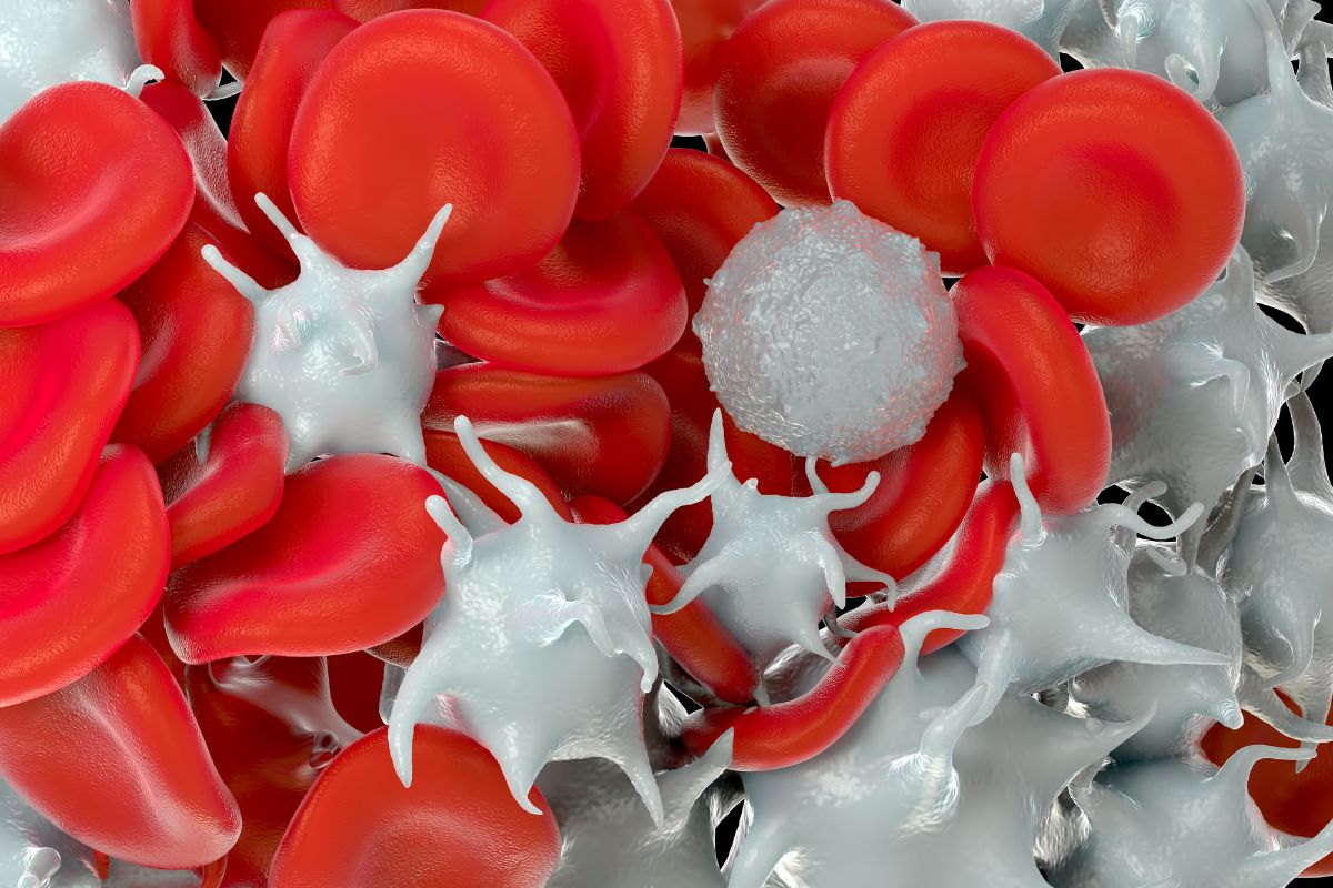 VPM no exame de sangue: o detalhe do hemograma que muita gente não entende 1 vpm exame de sangue.