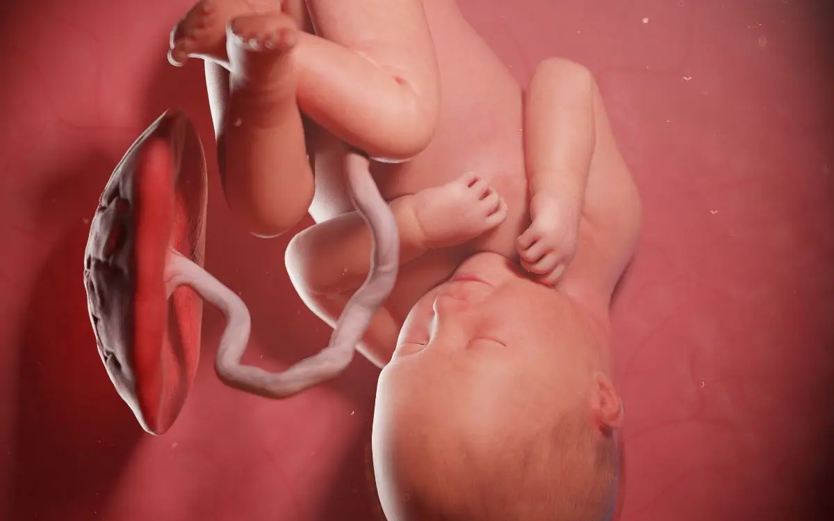 Medicamentos na gravidez