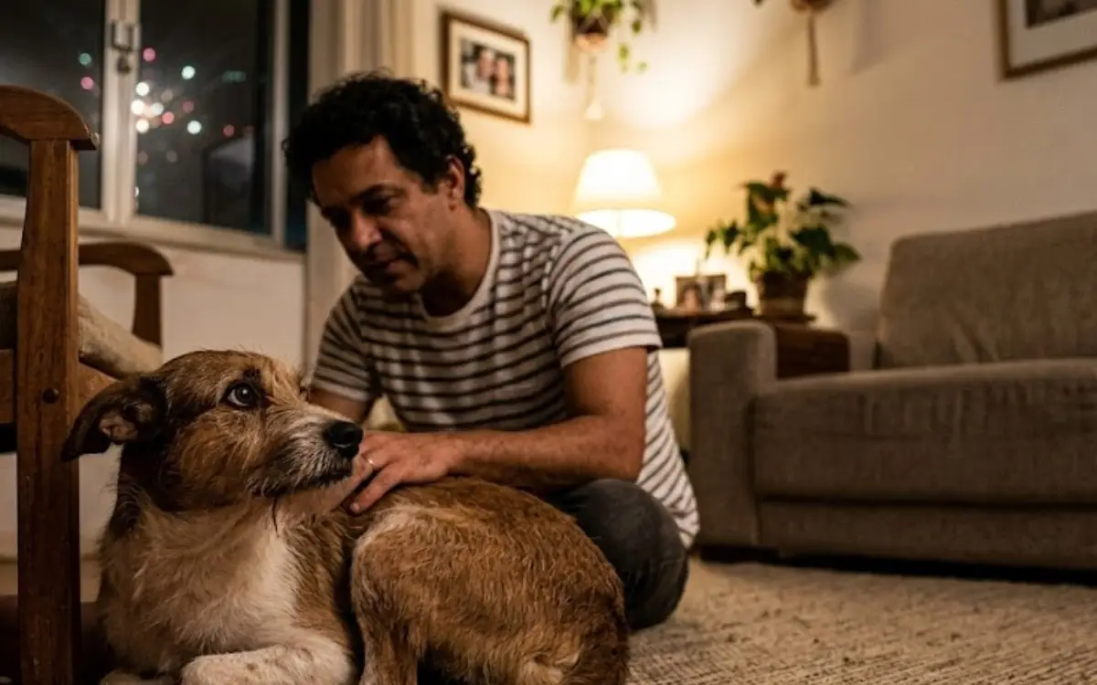 Calmante para cachorro