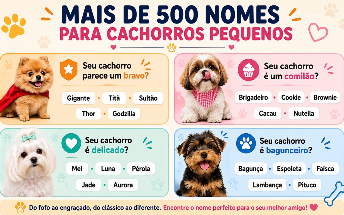 Nomes para cachorros pequenos