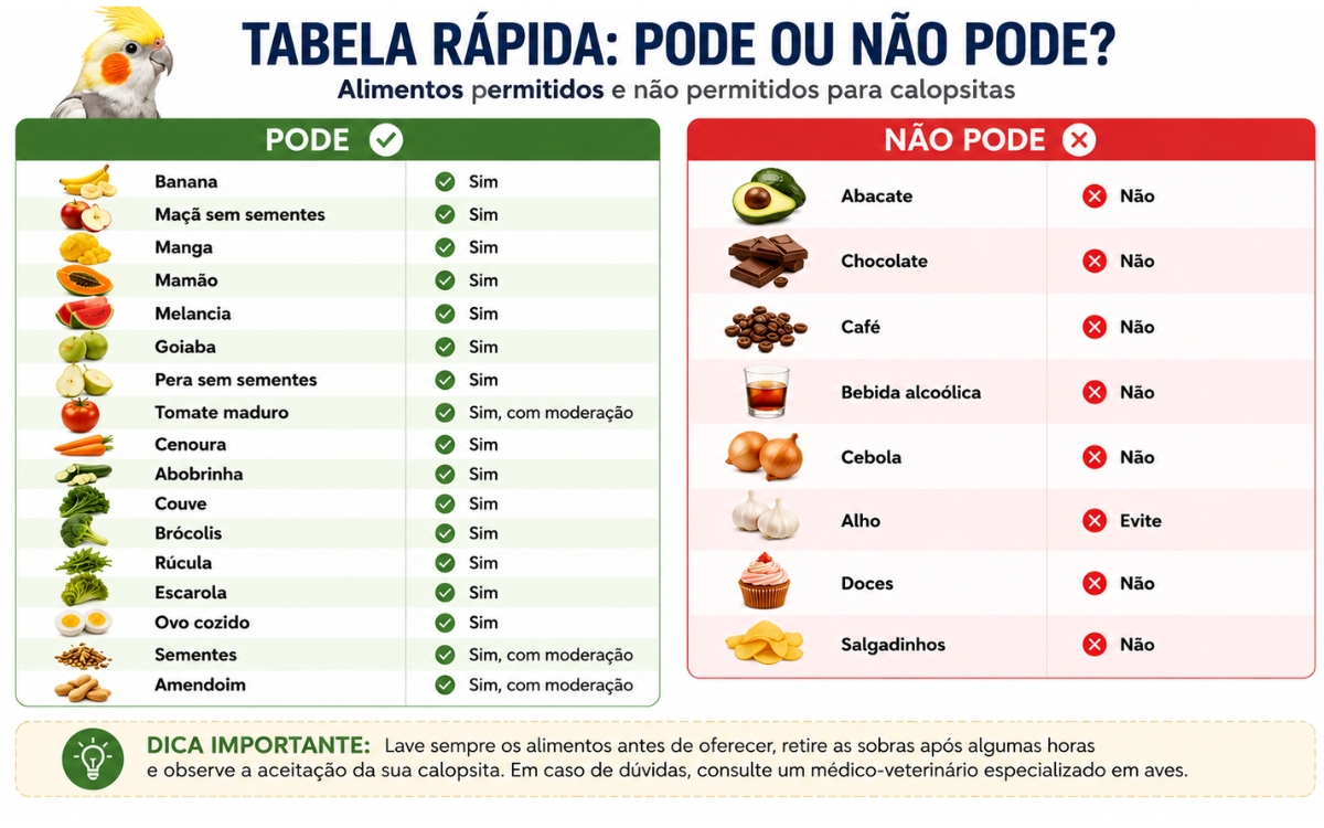 O que calopsita pode comer? Lista de frutas, verduras e alimentos permitidos 3 O que calopsita pode comer