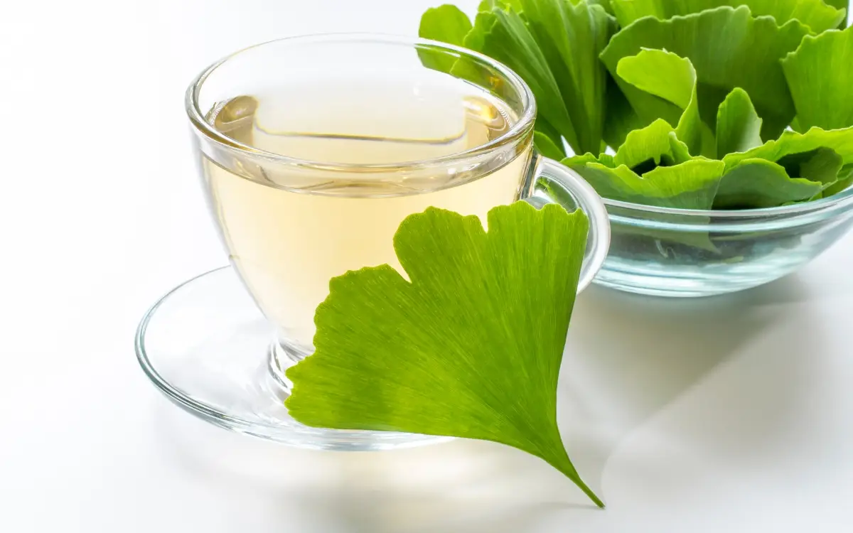 Pra que serve ginkgo biloba