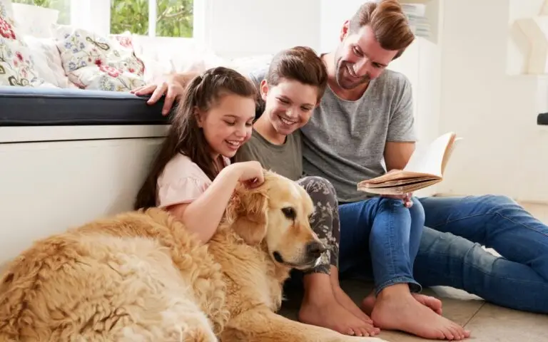 Cães para crianças