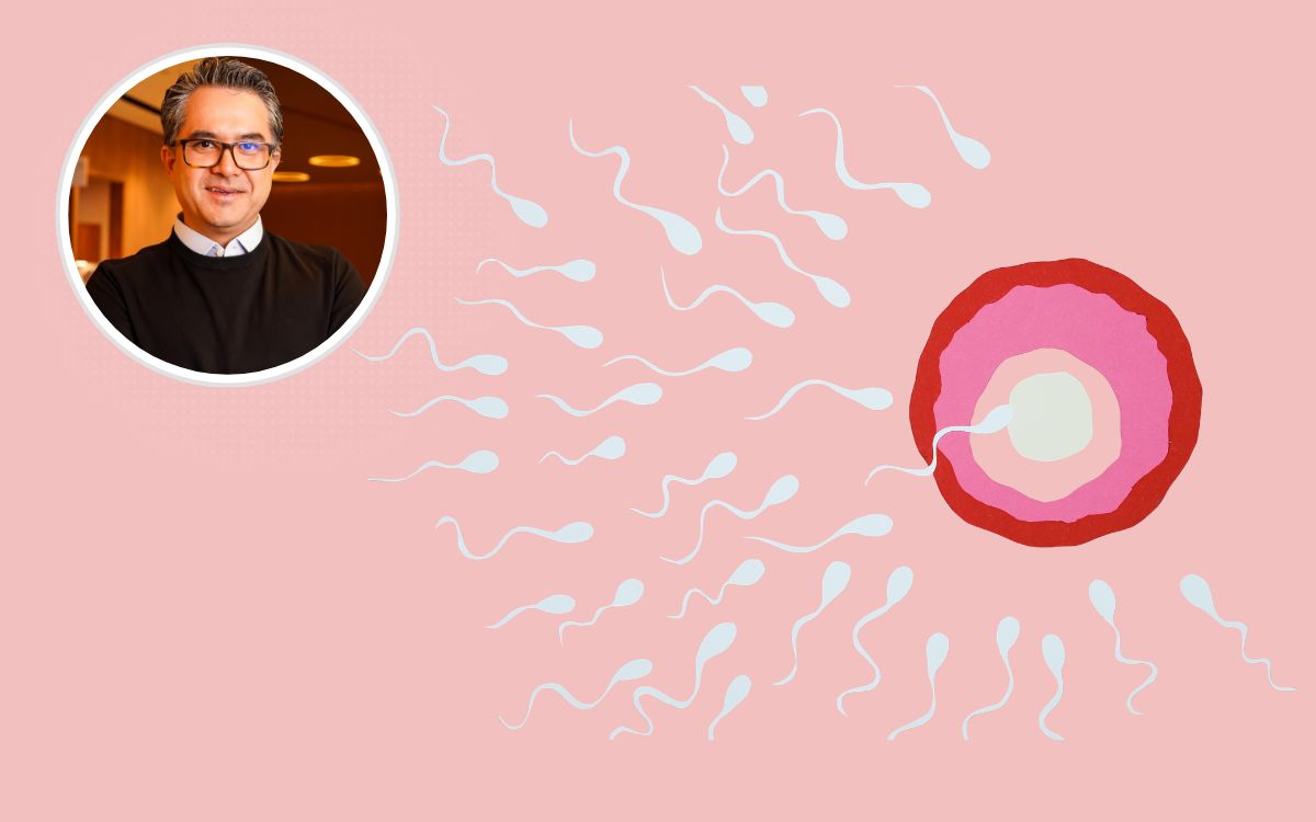 Infertilidade feminina: motivo pouco lembrado pode explicar tentativas de gravidez sem sucesso 1 Fertilização in vitro.