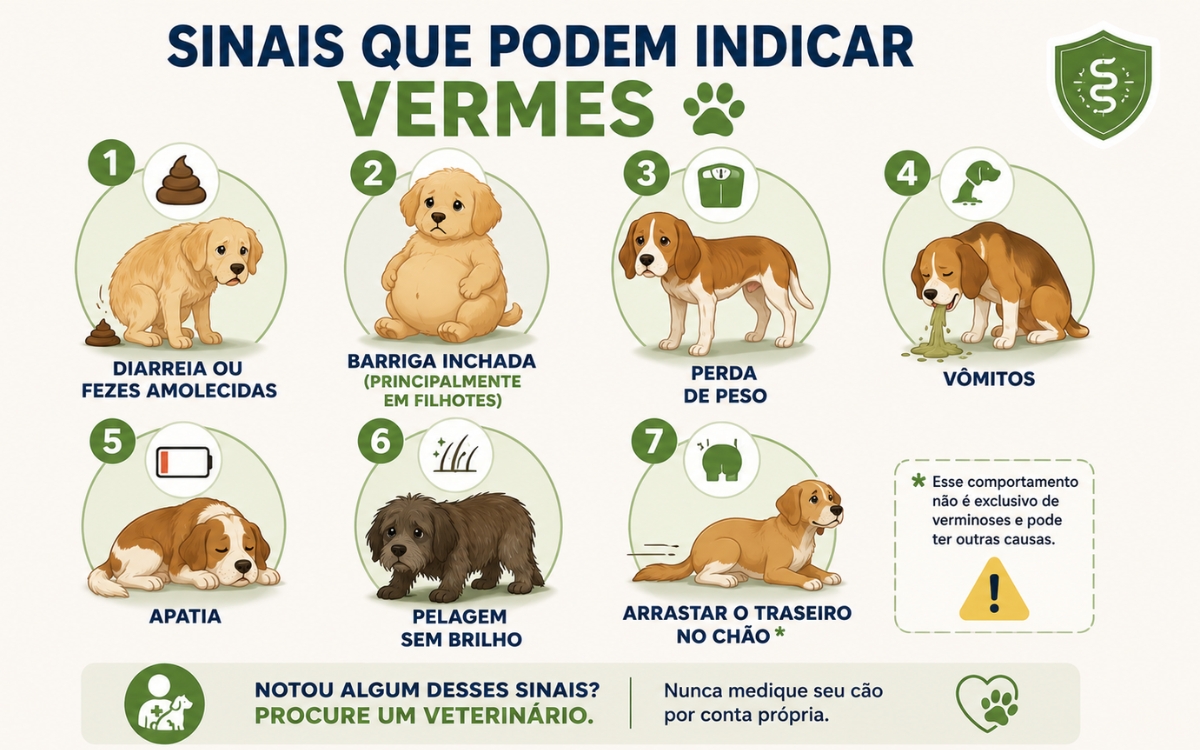 Quando foi a última vez que seu cachorro tomou vermífugo? Veja a tabela 3 Tabela de vermifugação para cachorro
