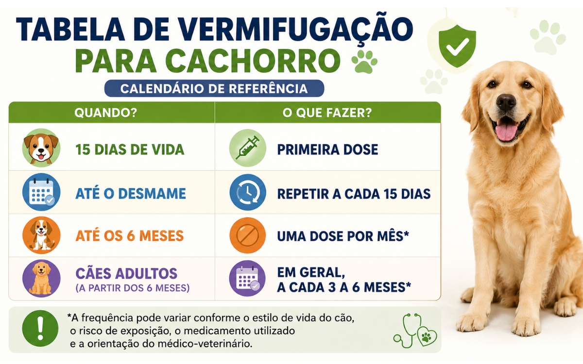 Quando foi a última vez que seu cachorro tomou vermífugo? Veja a tabela 2 Tabela de vermifugação para cachorro