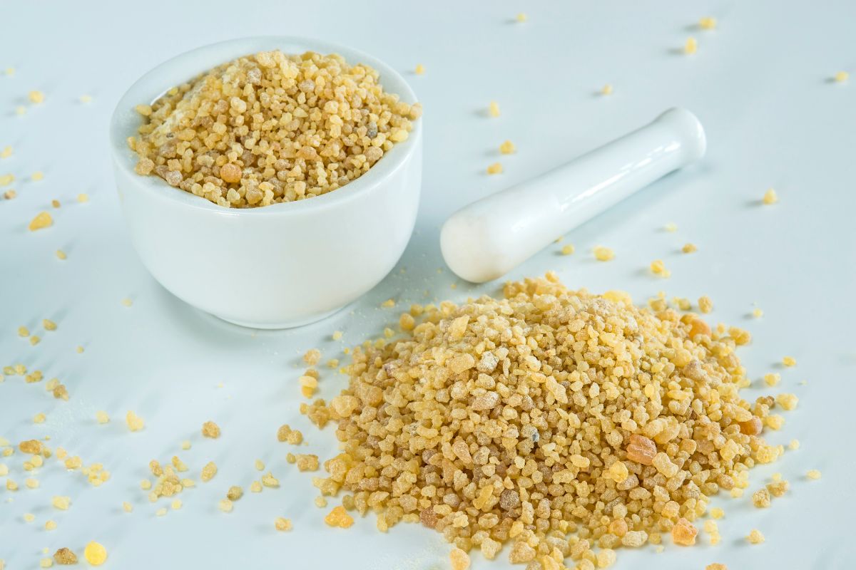 Boswellia serrata.
