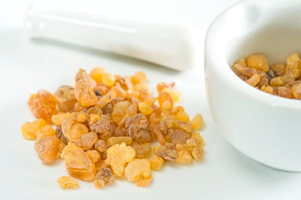 Boswellia serrata.