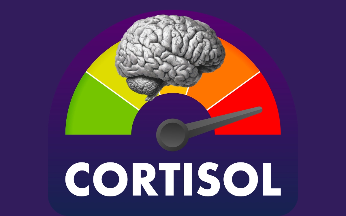 Trabalho, dinheiro e vida pessoal: como o cortisol alto pode influenciar escolhas 1 Cortisol alto