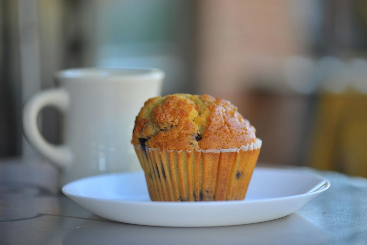 Muffin de cenoura trufado.