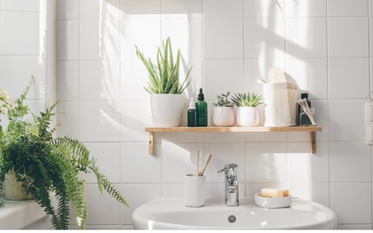 Plantas para banheiro