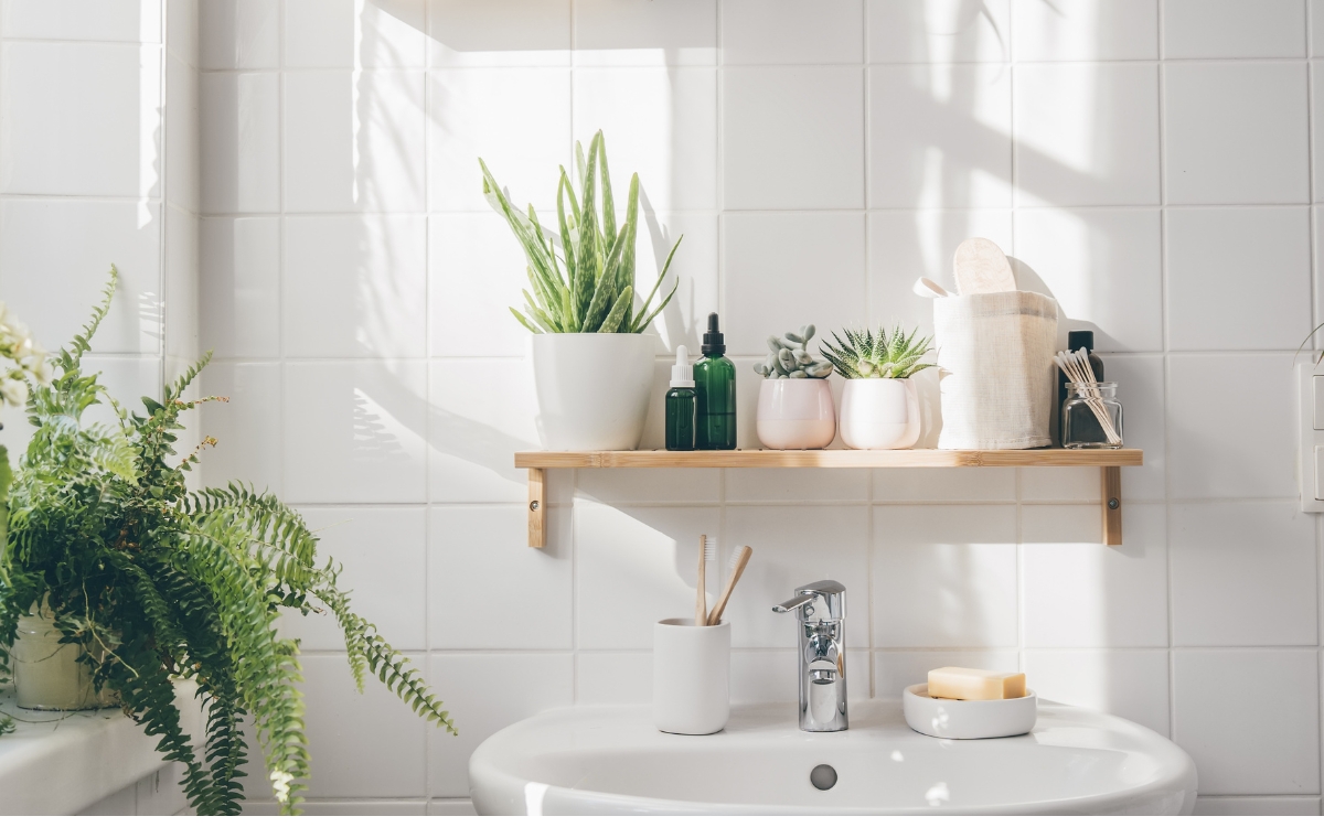 Plantas para banheiro