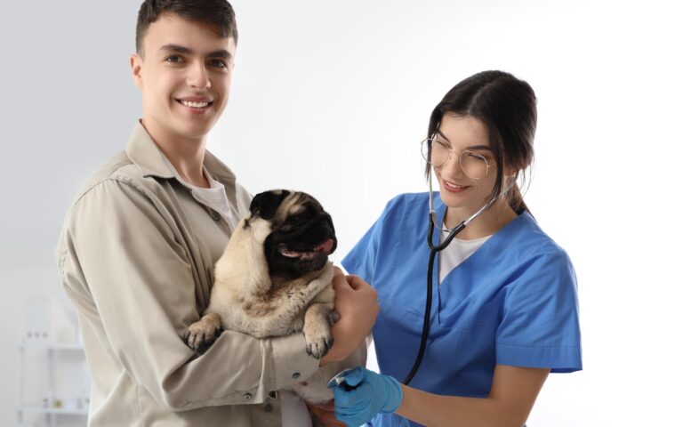 Você tem algum deles? 9 raças de cães que pedem atenção redobrada com a saúde 2 Raças de cães