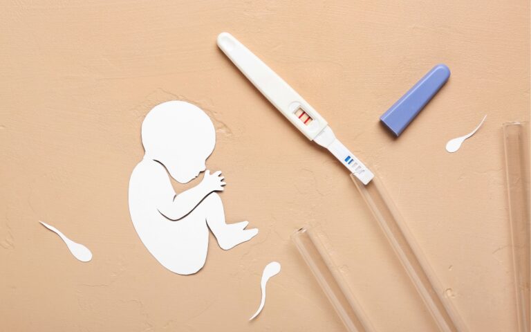 Óvulos congelados, doadores, testes genéticos: até onde se pode escolher para ter um bebê 2 Reprodução assistida