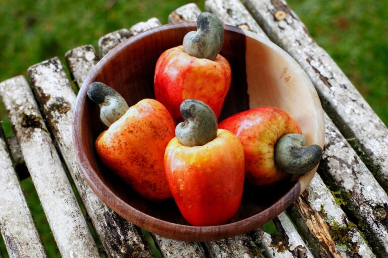 Como fazer polpa de caju: aproveite a fruta e congele para usar depois 3 como fazer polpa de caju.